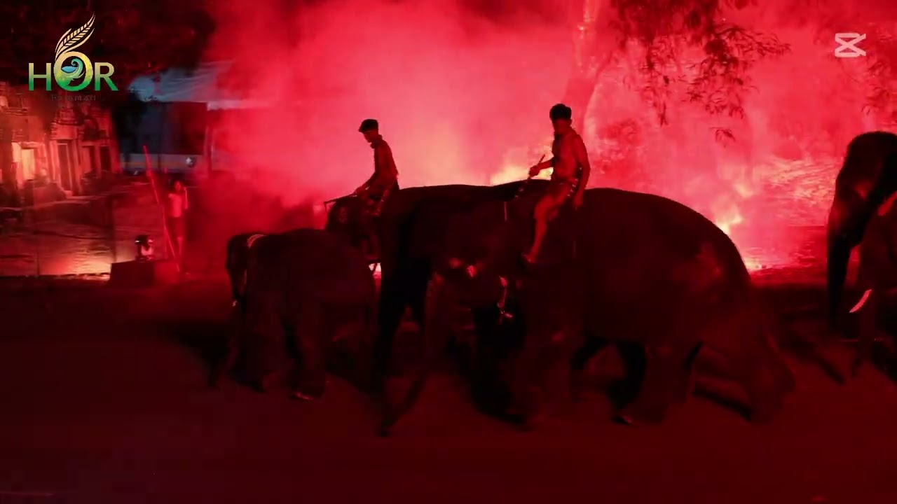 แสงสีเสียงสืบสานตำนานช้างไทย การแสดงแสงสีเสียง สืบสานตำนานคนเลี้ยงช้างสุรินทร์ เทศกาลเที่ยวสุรินทร์