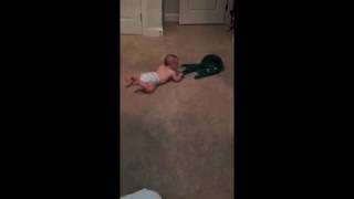 Lilly's First Crawl