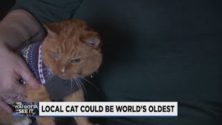 Oregon Cat, 26, Could Go Down In Record Books As Worlds Oldest
