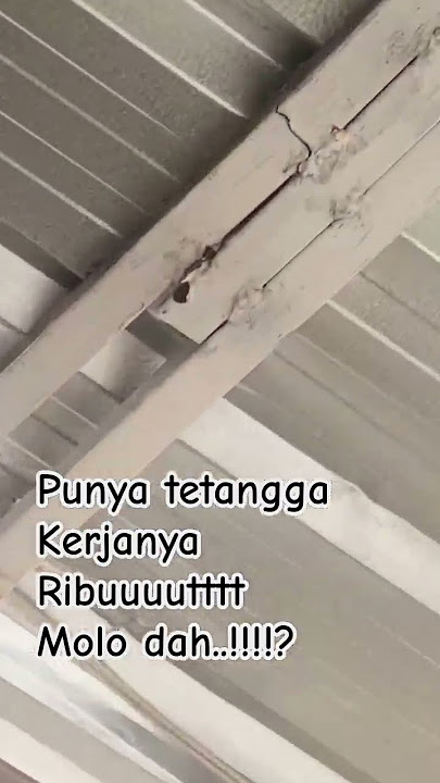 heran.. punya tetangga.. kerjanya Ribuuuutttt molo #sidoelanaksekolahan #doel #komedi #lucu