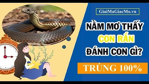 Mơ Thấy Rắn Đánh Con Gì, Con Rắn Số Mấy ✅ TRÚNG 99.9% 👉 GiaiMaGiacMo.vn 👁 SỔ MƠ RẮN ✅ CHÍNH XÁC NHẤT