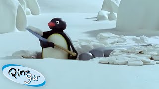 Pingu Digs A Hole 🐧 | Pingu - Official Channel | Cartoons For Kids