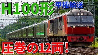 【速報！】圧巻の12両編成！！H100形甲種輸送【西の里信号場】