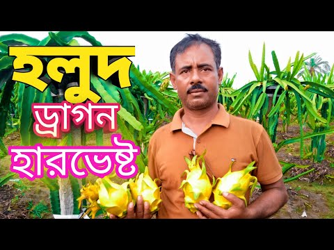 ভিডিও: কার ড্রাগন স্পেসশিপের মালিক