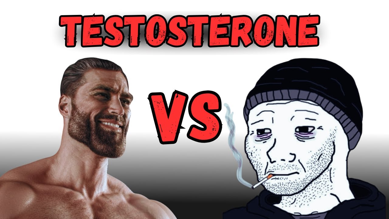 "You’re Not Lazy” (Your Testosterone Is Being Destroyed)