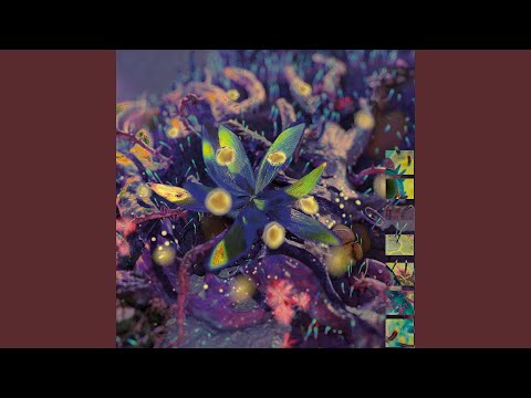 Obejrzyj Weeping Willow's Celestial Glow (Jonnnah Remix) w YouTube