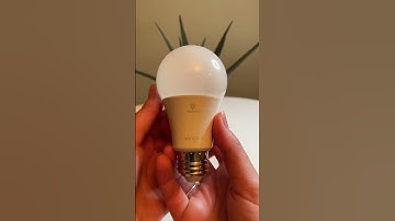 Sengled bluetooth smart bulbs are the best friends of Amazon Alexa?