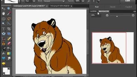 Bear Photoshop (Coloring)