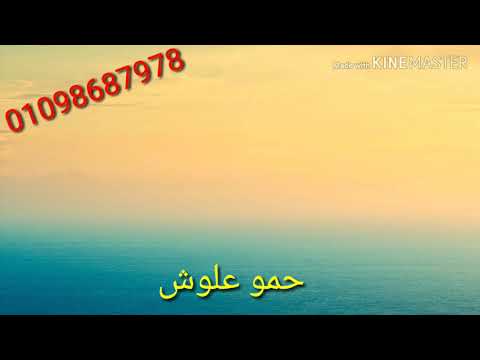 حالات واتس اغنيه احميده البرهومي مشغول بغلاكم عندي قلب 2020