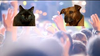 Seattle Animal Shelter: Behind the Cuteness