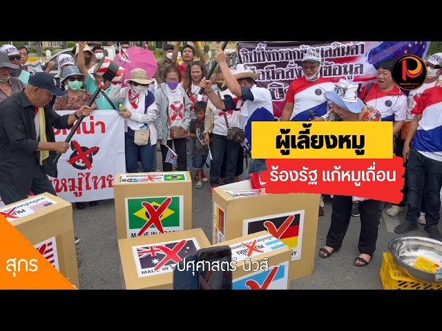 ผู้เลี้ยงหมูทั่วไทย บุกทำเนียบ ร้องรัฐแก้ปัญหา "หมูเถื่อน" อย่างจริงจัง | ปศุศาสตร์ นิวส์