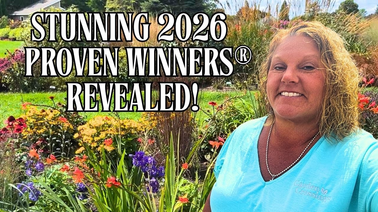 Краткий обзор новых проверенных многолетних растений-победителей 2026 года