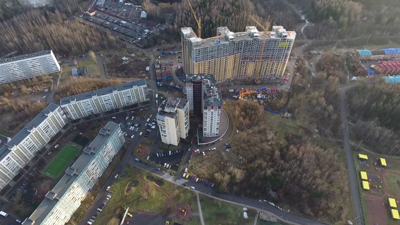 жк девяткино спб. кактус камеры девяткино. новое девяткино вк. кактус камеры девяткино. камеры новое девяткино.