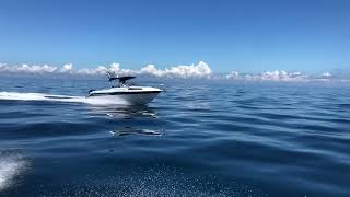 Haines Hunter SF650 Hauraki Gulf