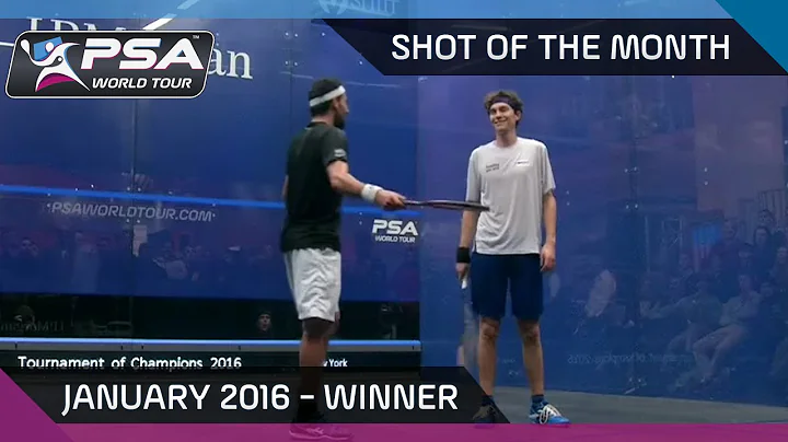 Squash: Shot of the Month - Jan '16: Cameron Pille...