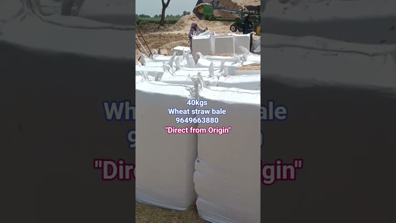 wheat straw bale 