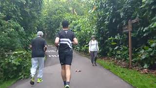 New PCN (Park Connector Network) in Bukit Panjang Singapore