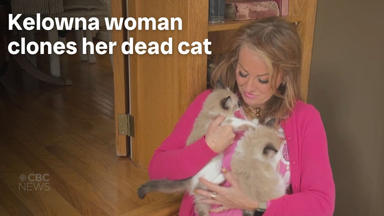 Woman gets 2 successful clones of her dead cat