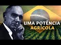 ASCENSÃO DO BRASIL | Previsões 2020 #03