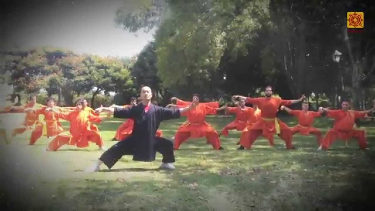 El Increible Maestro Del Kung Fu Dvdrip Spanish [Spataquilla Com]