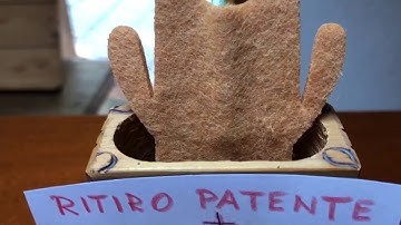 trim 454332EF 33A7 41D6 94CF 8C9D621118F5