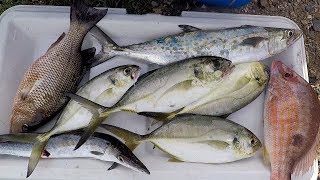 FISHING on a SMALL BOAT for FOOD - Inshore Fishing - Trinidad, Caribbean