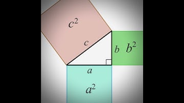 Pythagoras Theorem🗿🍷 | 🎵Slaughter House🎵#foryou #recommended #viral #edit #shorts