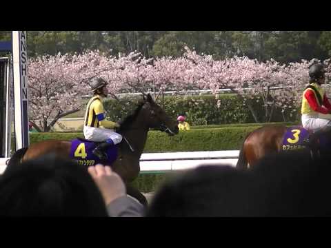 2011桜花賞本馬場入場
