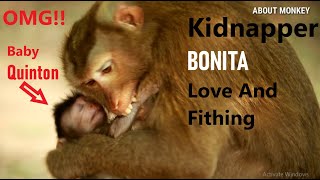 Pity! Why Bonita Kidnap Newborn Baby Monkey Quinton So Nasty Like This, Poor Baby Monkey Quinton