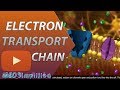 Chane de transport dlectrons etc simplifie