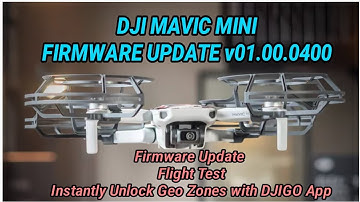 Unlock Geo Zones via app after Dji Mini Firmware Update V01.00.0400