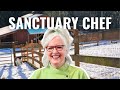 From Navy Veteran to Vegan Chef | Interview with Chef Amy Webster at Pasado’s Safe Haven