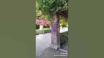 جورج وسوف قلب العاشق دليلو 