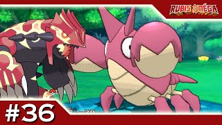 Pokémon Rubis Oméga : ECRAPINCE SHINY ! - #36 Pokémon Rubis Oméga : ECRAPINCE SHINY ! - #36