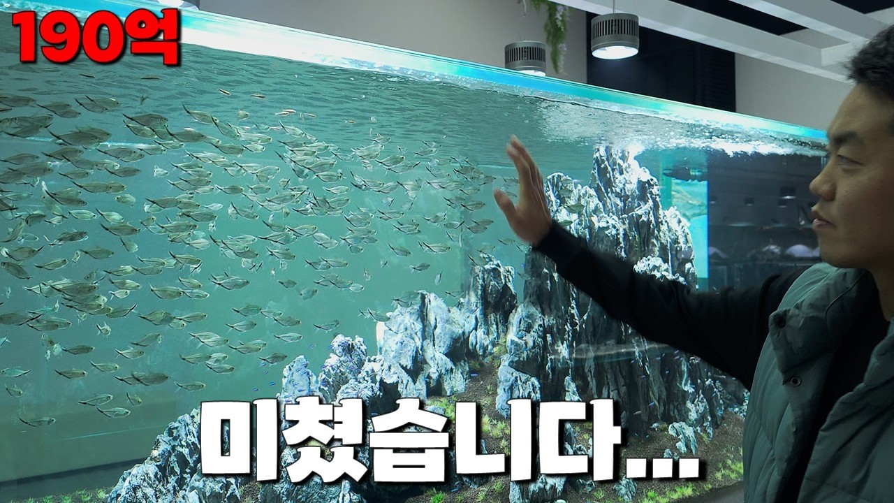 총 사업비 190억! 국내 유일 '관상어 연구소' 스케일이... 진짜 미쳤습니다 (입장료 0원) [수족관 지방투어ep.1]