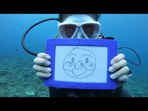 恩納村の万座でファンダイビングの時の動画です。