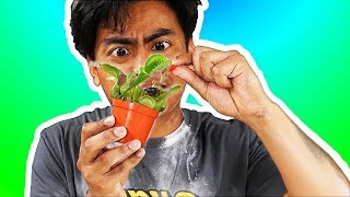 I Tried Feeding Venus Fly Traps!
