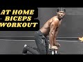 At home biceps workout dumbbells only