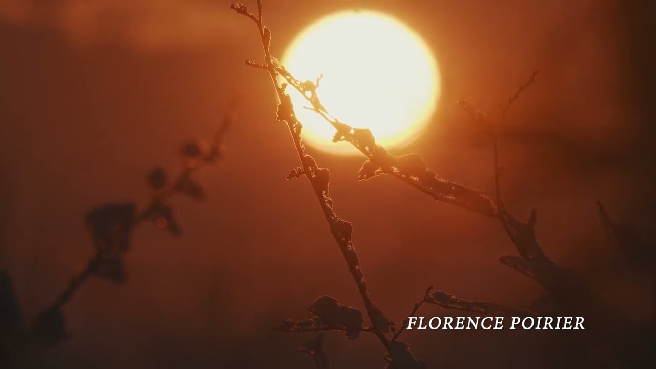 Assista a Cascade d'or - Florence Poirier no YouTube Assista a Cascade d'or - Florence Poirier no YouTube