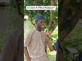 Is it true that Islam is the best religion? #islam #islamicvideo #islamicshorts #religion #viral