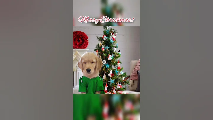 Merry Christmas everyone! | #shorts