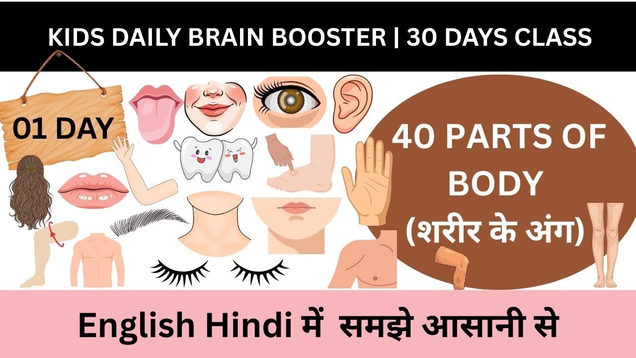 Kids Daily Brain Booster Day 1 | Parts of  Body in English and HIndi  | 01 Day of 30 Days Challenge