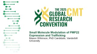 Small Molecule Modulation of PMP22 Expression and Trafficking