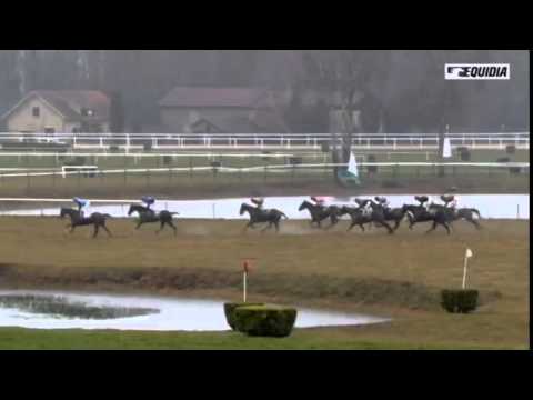 Vidéo de la course PMU GRAND CROSS DE PAU REVERDY - PRIX GASTON DE BATAILLE