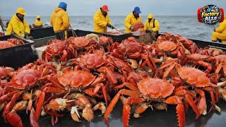 Crab Factory Process | How Crab Meat Is Made From Sea to Plate | Seafood Industry
