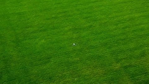 Airspace Mavic Tracking - test 1