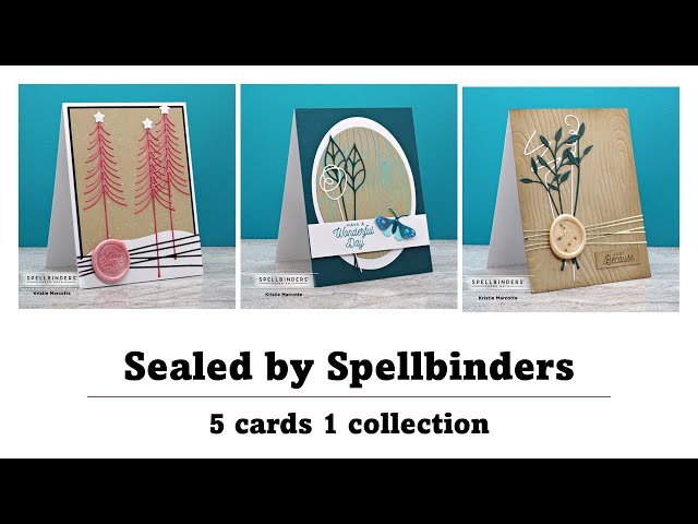 Sealed Squiggles Etched Dies from the Sealed by Spellbinders Collection