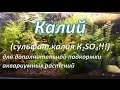 Калий (сульфат калия K2SO4!!!) для дополнительной подкормки аквариумных растений