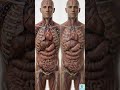 Vitamins Every Day vs Never — What It Does.To Your Organs In 30Days(John vs Mike)#vitamin #ytshorts
