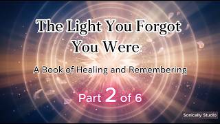 The Light You Forgot You Were  Part Ii Release let Go Of Fear Shame U0026 Old Stories
